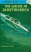 The Ghost at Skeleton Rock (Hardy Boys, #37)