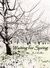Waiting For Spring (Kindle Edition)