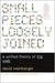 Small Pieces Loosely Joined: A Unified Theory Of The Web (Kindle Edition)