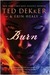 Burn (Kindle Edition)