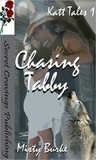 Chasing Tabby (Katt Tales #1)