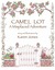 Camel Lot: A Misplaced Adventure (Kindle Edition)