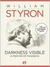Darkness Visible (Kindle Edition)