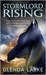 Stormlord Rising (Watergivers, #2)