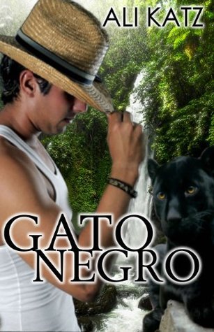 Gato Negro by Ali Katz