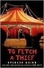 To Fetch a Thief (A Chet and Bernie Mystery, #3)