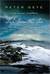Safe from the Sea (Kindle Edition)