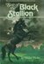 Son of the Black Stallion (The Black Stallion, #3)