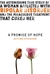 A Promise of Hope (Paperback)
