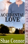 Accidental Love Accidental Love