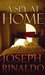 A Spy at Home (Kindle Edition)