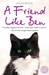 A Friend Like Ben: A Mother Desperate for Love. a Little Boy Unable to Show It. a Cat That Brought Them Together (Paperback)