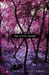 The Little Woods (Hardcover)