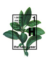 The Haiku Year The Haiku Year