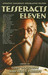 Tesseracts Eleven: Amazing ...