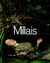Millais by Jason Rosenfeld