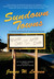 Sundown Towns: The Hidden History of American Racism (Hardcover)