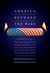 America Between the Wars: From 11/9 to 9/11: The Misunderstood Years Between the Fall of the Berlin Wall and the Start of the War on Terror