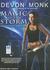 Magic on the Storm (Allie Beckstrom, #4)