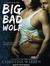 Big Bad Wolf (Audio CD)