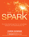 The Spark by Chris Downie The Spark by Chris Downie