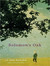 Solomon's Oak (Audio CD)