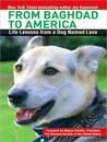 From Baghdad to America by Jay Kopelman From Baghdad to America by Jay Kopelman