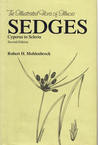 IFI: Sedges Cyperus to Scleria Second Edition (Illustrated Flora of Illinois)