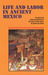 Life and Labor in Ancient M...