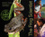 The Frog Scientist (Paperback)