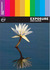 Photography FAQs: Exposure