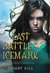 Last Battle Of The Icemark (Paperback)
