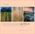 Landscape Within: Insights ...