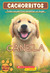 Canela (Cachorritos Series #1) (The Puppy Place: Goldie)