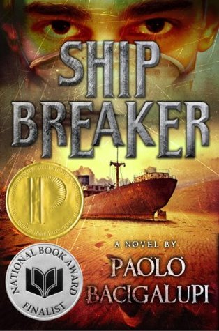 Ship Breaker (Ship Breaker, #1)