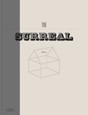 The Surreal House