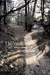 The Walk