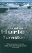 Turnstone (DI Joe Faraday, #1)