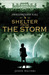 Shelter from the Storm (Swallowcliffe Hall, #3)