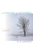 A Century of November: A Novel (Hardcover)