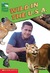Animal Planet #4, Wild In T...