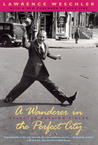A Wanderer in the Perfect City: Selected Passion Pieces A Wanderer in the Perfect City: Selected Passion Pieces