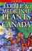 Edible and Medicinal Plants of Canada by Andy MacKinnon