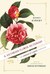 A Victorian Flower Dictionary (ebook)