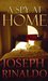 A Spy at Home