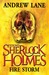 Fire Storm (Young Sherlock Holmes, #4)