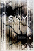 The Sky Conducting