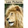 Lion Pictures Lion Pictures