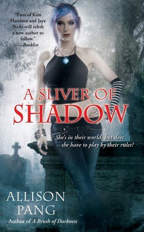 A Sliver of Shadow (Abby Sinclair #2)