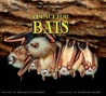 A Place For Bats A Place For Bats